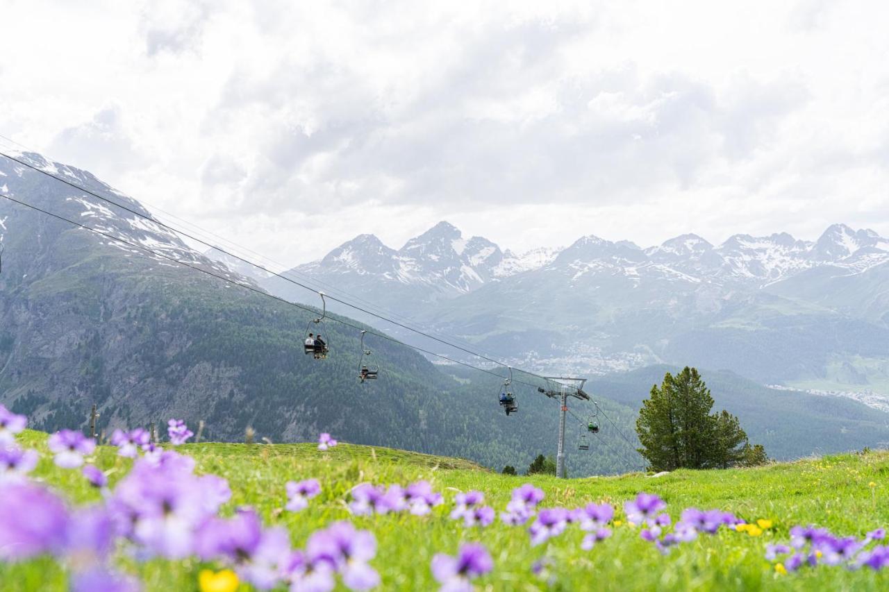 Hotel Sporthotel Pontresina 3*